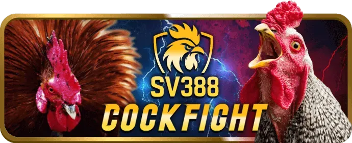 Hoàn trả cược đá gà EV88